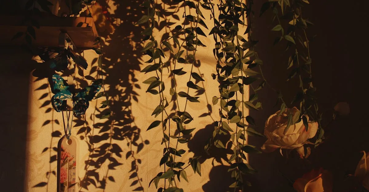 Planta crescendo em direção à luz do sol, representando o SEO e o google.